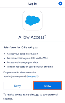 Allow Salesforce access screen