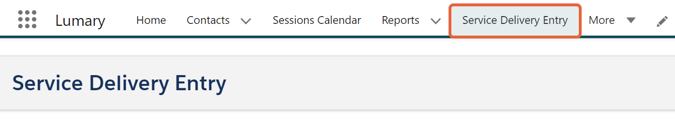 Service Delivery Entry tab